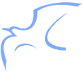 gabbiano logo